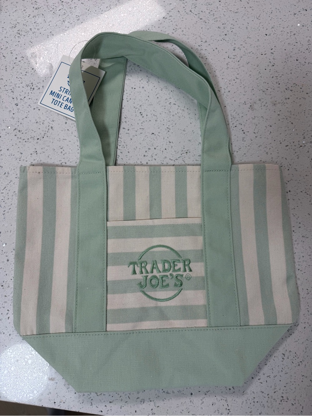 Mint Green Striped Canvas Tote Bag